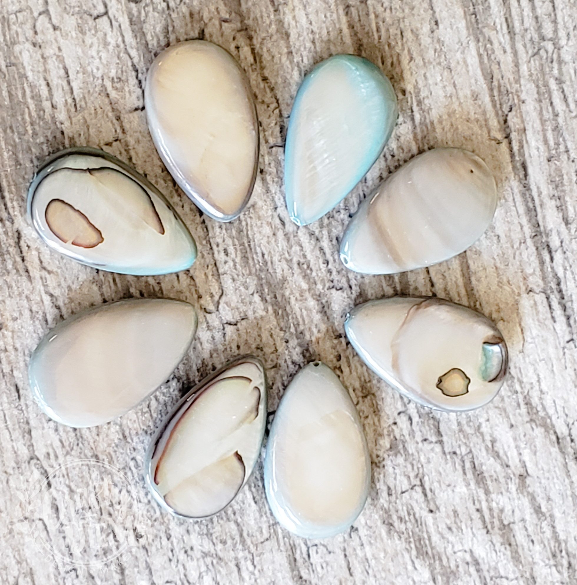 Polished Shell Teardrop Beads